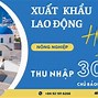 Công Ty Xklđ Vinacom 360 Vn Hà Nội Reviews Website Login