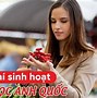 Du Học Anh Vlog 2024 Tại Mỹ Bao Nhiêu Tiền