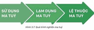 Quá Trình Nghiện Ma Túy Thường Trải Qua Giai Đoạn Nào